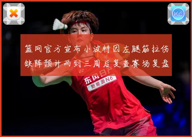 篮网官方宣布小波特因左腿筋拉伤缺阵预计两到三周后复查赛场复盘：最新赛事动态与深度分析